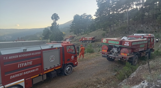 Mersin’de ormanlık alanda çıkan yangın söndürüldü