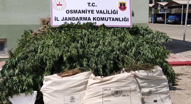Sumbas’ta uyuşturucu operasyonu: 1 gözaltı