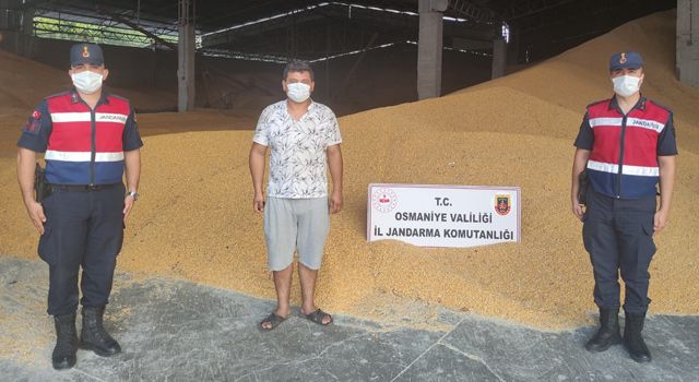 Çaldığı 52 ton mısırı satmaya çalışırken yakalandı