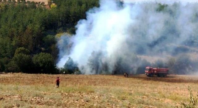 Sumbas’taki orman yangını büyümeden söndürüldü