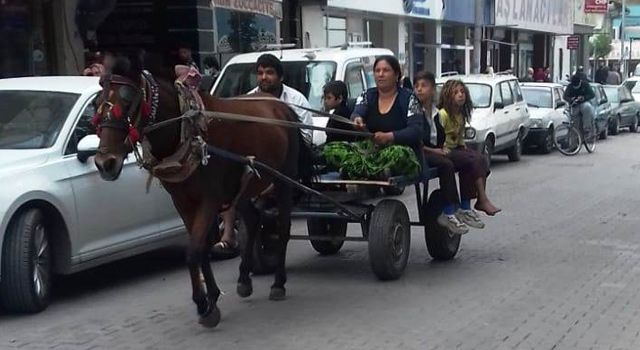 Akaryakıt zamları, at arabalarını trafiğe çıkardı