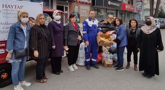 Atık pet şişeler, sokak canlarına şifa oluyor