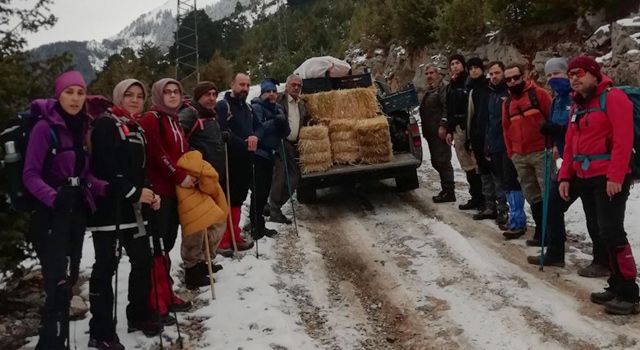 Düldül Dağı'na yaban hayvanları için yiyecek bırakıldı