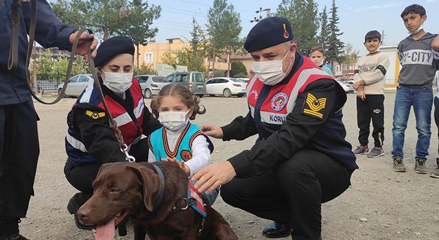 Jandarma Timi, öğrencilere hayvan sevgisini anlattı