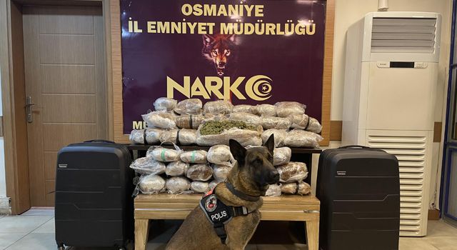 Osmaniye’de 31 kilo 50 gram Skunk maddesi yakalandı