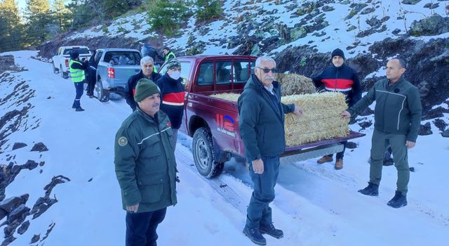 Amanos dağlarına yaban hayvanları için yiyecek bırakıldı