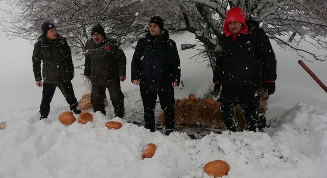 Bin 100 rakımlı dağ eteklerine yaban hayatı için yem bırakıldı