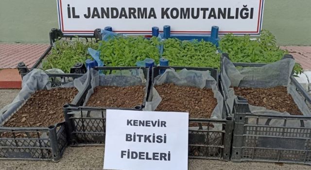 Plastik kasalarda uyuşturucu yakalandı