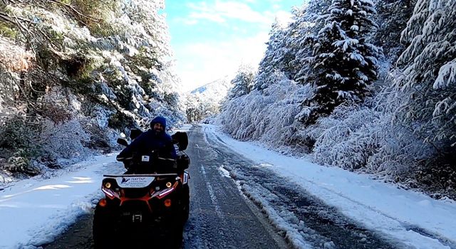 Yaylalardaki sokak canları için ATV motorlarla yiyecek taşındı