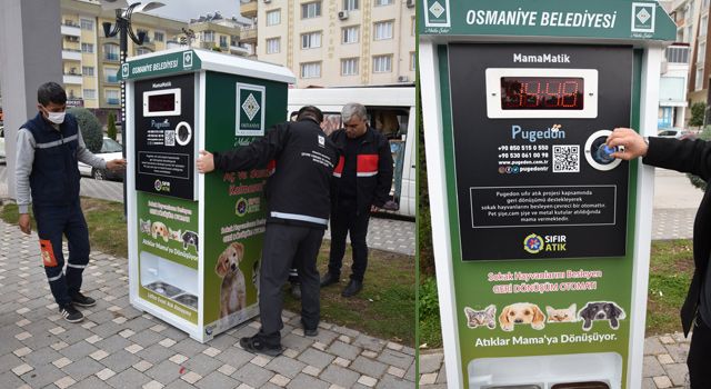 Belediye’den sokak hayvanları için beslenme uygulaması