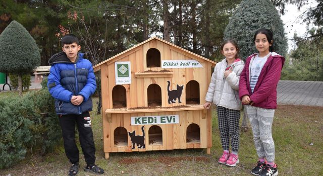 Osmaniye Belediyesinden kedi evi uygulaması