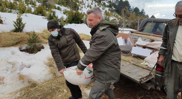 Osmaniye’de doğaya 1 ton 340 kilo yem bırakıldı