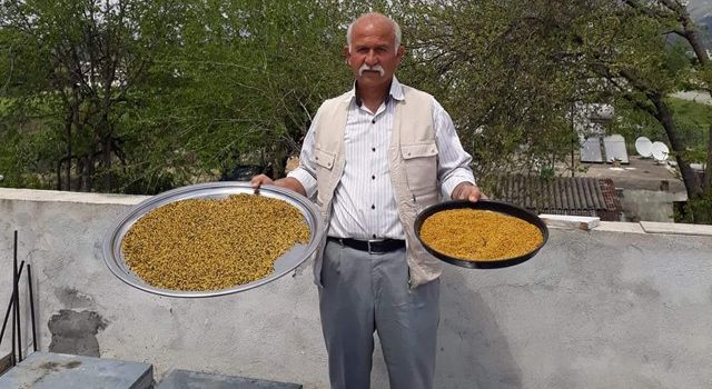 Arıcılar Derneği Başkanı Topal; “Polen vitamin deposudur”