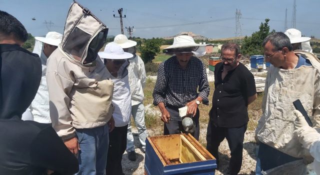 Osmaniye’de, kovanların başında uygulamalı arıcılık eğitimi