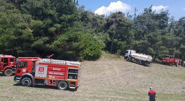 Osmaniye’deki orman yangınında 5 dekar alan zarar gördü