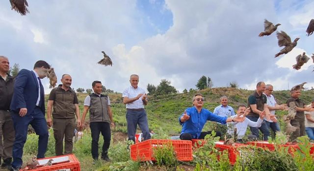 Bin keklik, yanan ormanlık alanda doğaya salındı