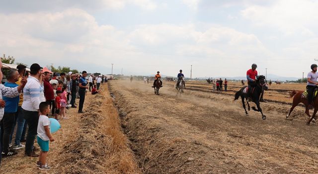 Düziçi’ndeki At yarışlarında heyecanlı saatler yaşandı