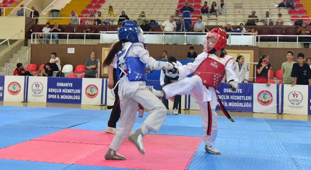 Yıldızlar Taekwondo İl seçmeleri yapıldı