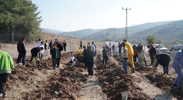 Hasanbeyli’de fidanlar toprakla buluştu