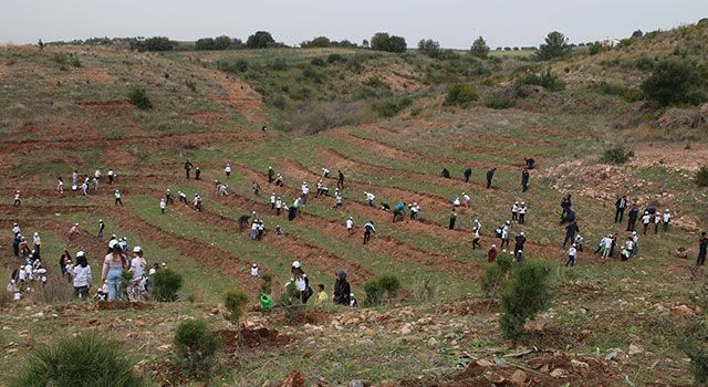 Deprem şehitleri için fidanlar toprakla buluştu