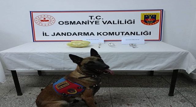 Jandarma, zehir tacirlerine göz açtırmıyor