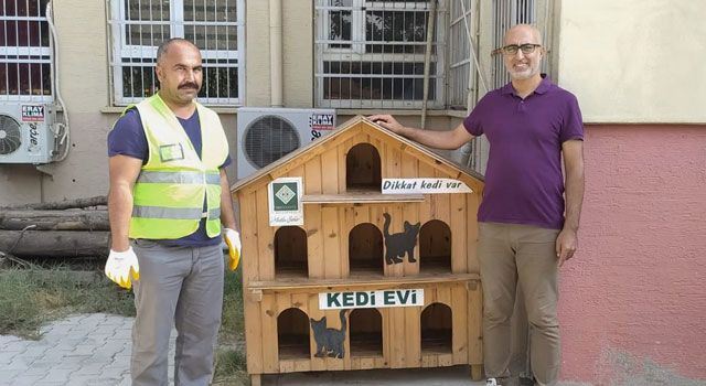 Belediyeden Kedi Evi Hizmeti