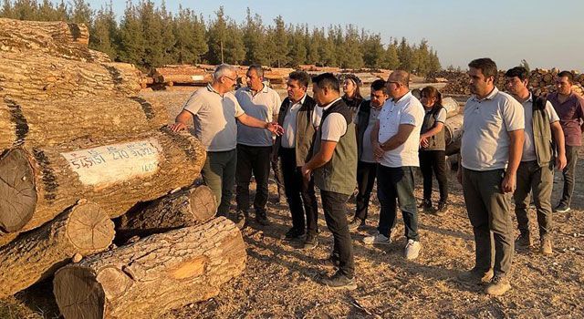 Orman Bölge Müdürü, Orman Depolarını İnceledi