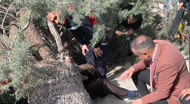 Burdur’da devrilen ağacın altında kalan belediye başkan adayı ve oğlu yaralandı