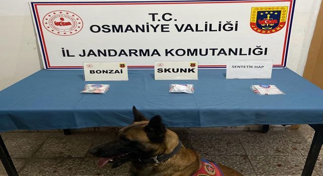 Osmaniye’de Zehir Tacirlerine Operasyon