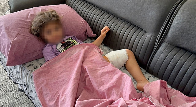 Adana’da köpek saldırısında yaralanan çocuk taburcu edildi