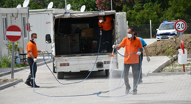 Hatay’da karantinaya alınan 2 mahallede kuduz aşısı çalışmaları başlatıldı