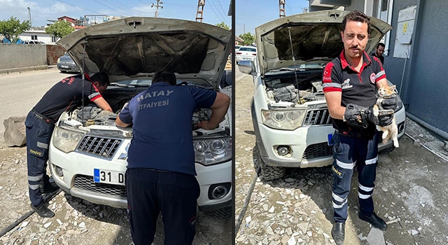 Hatay’da otomobilin motor kısmına sıkışan kedi yavrusunu itfaiye kurtardı