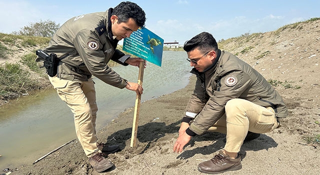 Mersin’de caretta carettaların yumurta bıraktığı sahile uyarı levhaları dikildi