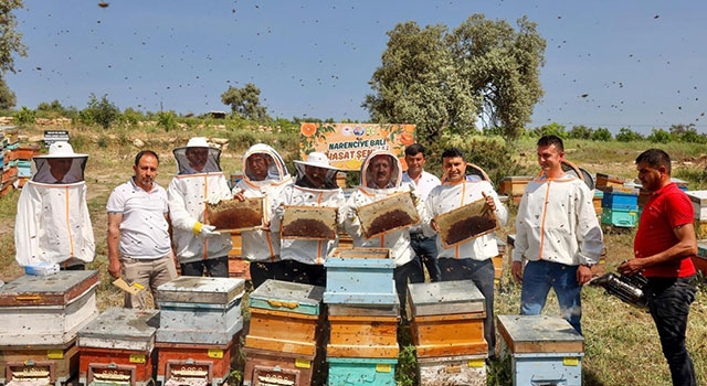 Mersin’de narenciye balı hasadı yapıldı