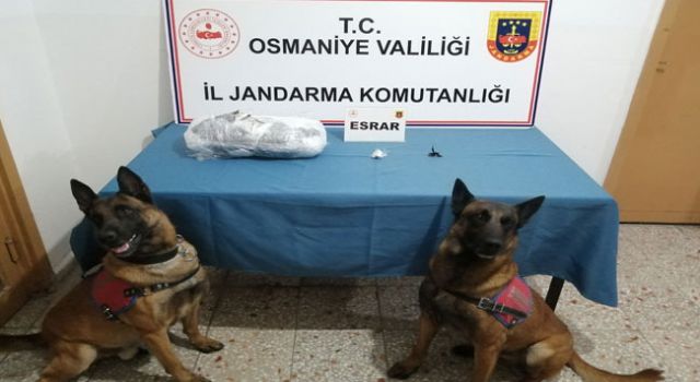 Osmaniye Jandarması Zehir Tacirlerine Göz Açtırmıyor