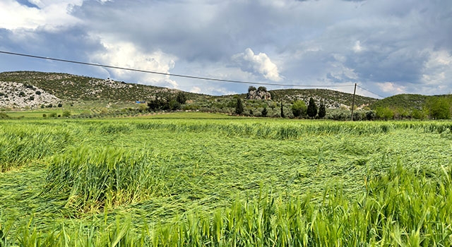 Osmaniye’de sağanak ve dolu, tarım arazilerine zarar verdi