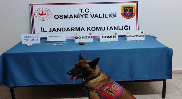 Zehir Tacirlerine Jandarma Operasyonu