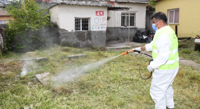 Osmaniye Belediyesi’nden Sinek ve Haşereyle Kararlı Mücadele
