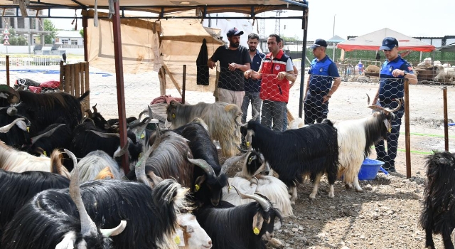 Osmaniye’de Kurban Pazarı Denetlendi: Belgeler Tek Tek Kontrol Edildi