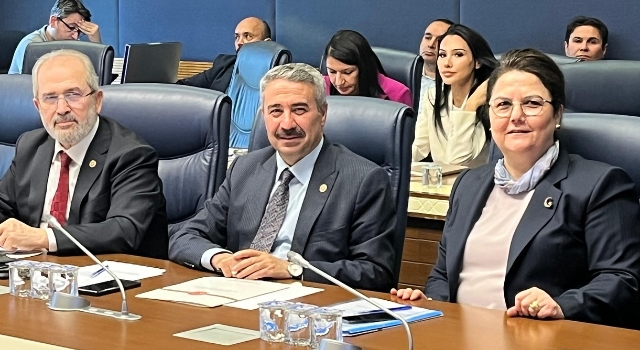 Derya Yanık Yeniden İnsan Hakları Komisyonu Başkanı Seçildi