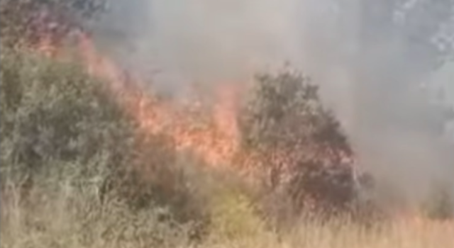Otoyoldaki Kuru Ot Yangını Kısa Sürede Söndürüldü