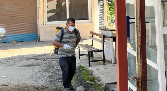 Zorkun Yaylası’nda Kurban Bayramı’nda Haşereyle Yoğun Mücadele