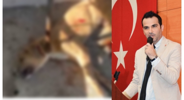 Ahmet Salgut: “Hayvan Ölümleri Kabul Edilemez”