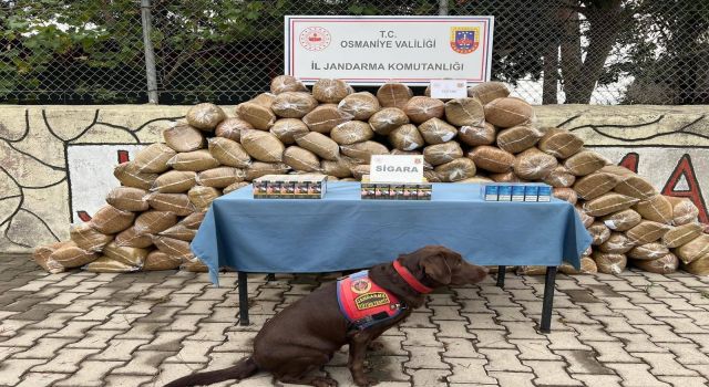 Osmaniye’de 139 asayiş olayı: Çok sayıda şüpheli yakalandı