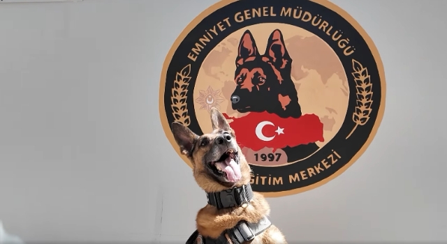 Osmaniye’de 25 Yıl Görev Yapan Narkotik Köpeği Pars Emekli Oldu