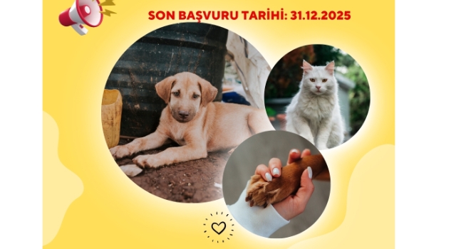 Osmaniye’de Evcil Hayvanlara Çip Uygulaması Başladı