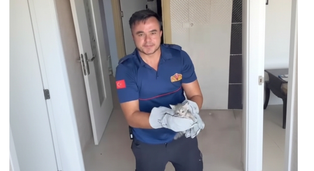 Osmaniye’de Mahsur Kalan Kedi İtfaiye Ekiplerince Kurtarıldı