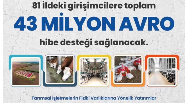 Osmaniyeli yatırımcılar dikkat: 43 milyon avro hibe desteği fırsatı