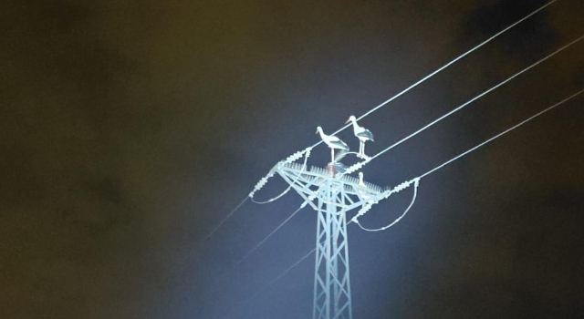 Toprakkale’de Elektrik Kesintilerinin Nedeni Belli Oldu