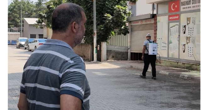Toprakkale'de Pire Alarmı